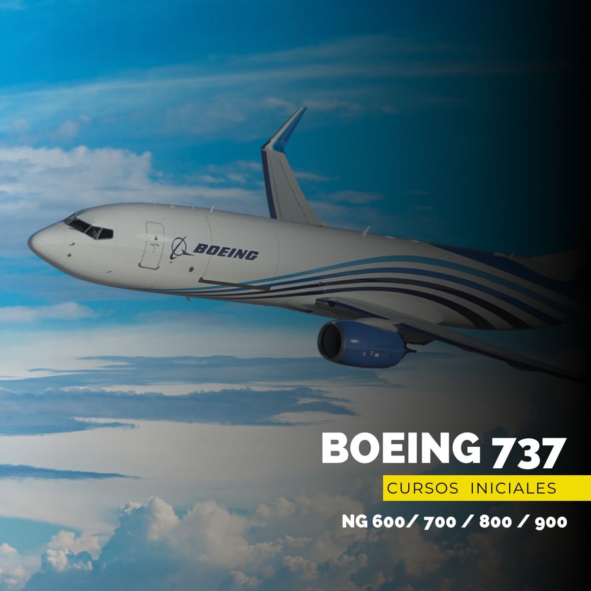 cursos iniciales de boeing 737 NG para pilotos