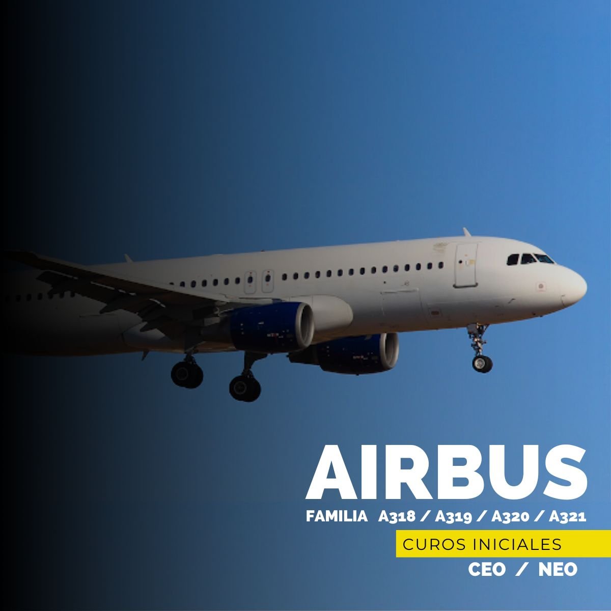 cursos iniciales de airbus a320 para pilotos